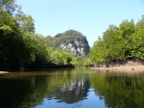 up the mangrove channel.JPG (131KB)